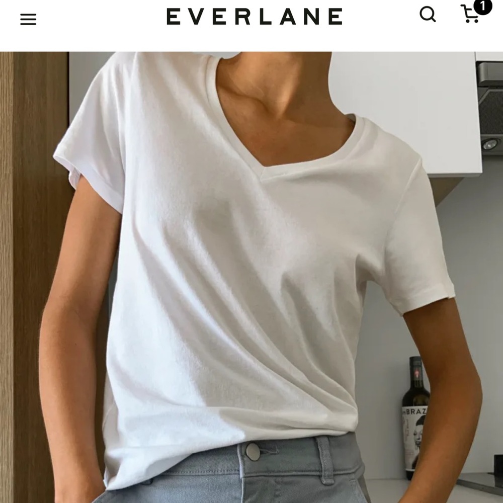 Everlane V neck Tee